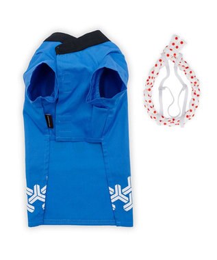 PET PARADISE ペットパラダイス ねじり鉢巻き付き 法被　小型犬 ブルー