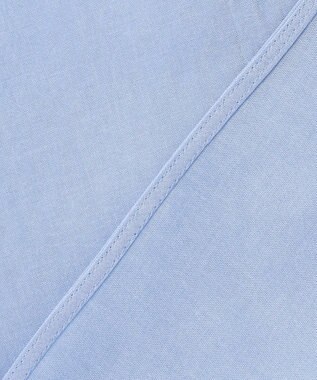 BEIGE， 【洗える】PLUMERIA / コットンシアーバックボウタイブラウス Sax