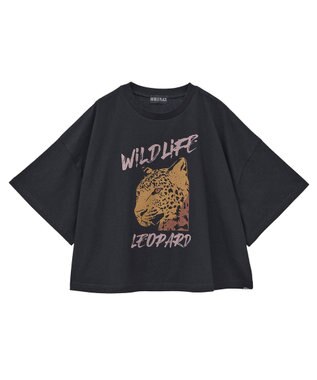 Green Parks ・ＤＯＵＢＬＥ　ＦＬＡＧＳ　レオパードプリントＴＥＥ Black