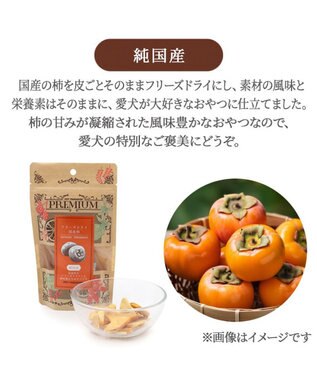 PET PARADISE ペットパラダイス プレミアムフード フリーズドライ 柿 10g 0