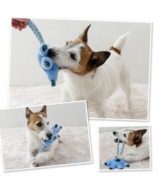 PET PARADISE ディズニー スティッチ 手のロープトイ ライトブルー