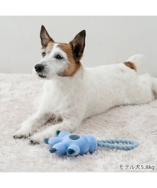 PET PARADISE ディズニー スティッチ 手のロープトイ ライトブルー