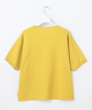 自由区 L 【WEB限定カラーあり・接触冷感・UVカット】クレープストレッチドルマン ニット ピスタチオ