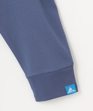 SHARE PARK MENS 【UNISEX】吸水速乾 LMCバックプリントロングスリーブTシャツ（L・XLサイズ） アッシュネイビー