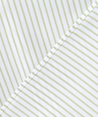 GOTAIRIKU 【形態安定】PREMIUMPLEATS_セミワイドカラー _通年ドレスシャツ(26年春夏限定色) グリーン系1