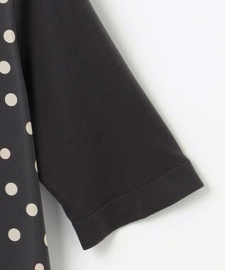 自由区 【アンサンブル対応・洗える】ポルカドットプリント プルオーバー アッシュ×アイボリー