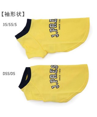 PET PARADISE J.PRESS カレッジ Ｔシャツ 小型犬 イエロー