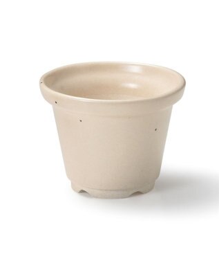 aito製作所 景　植木鉢小 卯の花_288117