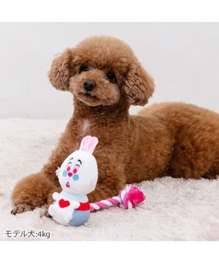 PET PARADISE ディズニー アリス 白うさぎ ロープトイ 白うさぎ
