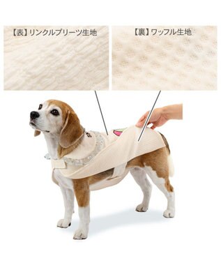 PET PARADISE スヌーピー バースデー ポンチョ 中型犬 大型犬 オフホワイト