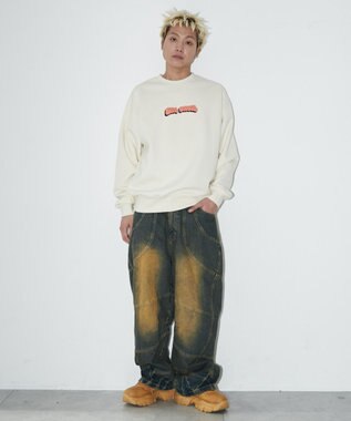 WEGO 【ユニセックス着用ITEM/MLサイズ展開/裏起毛】別注BENDAVISプランプロゴプルオーバー オフホワイト