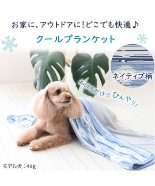 ペットパラダイス 花柄ワンピース 【小型犬】 / PET PARADISE