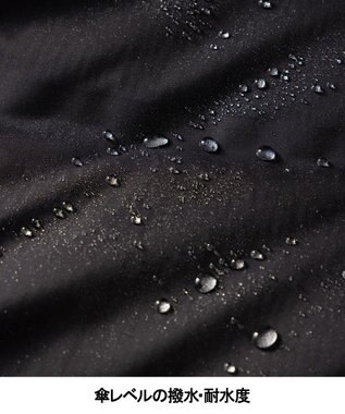 GOTAIRIKU WEB限定【仕事で着られる】ドレスダウンコート_ストレッチツイル_25年新作 ブラック系