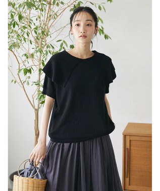 CRAFT STANDARD BOUTIQUE ＢＩＧカラー半袖ニットプルオーバー Black