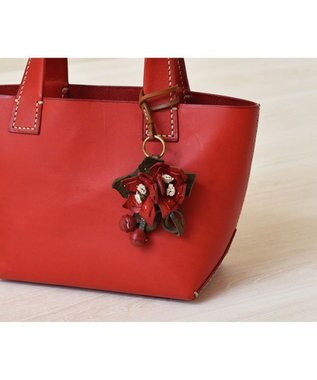 genten エヴァーチャーム　ポインセチア レッド