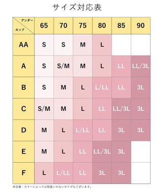 Wing 【2024年HAPPY BAG】 Wing （ノンワイヤーブラ ３枚セット） その他