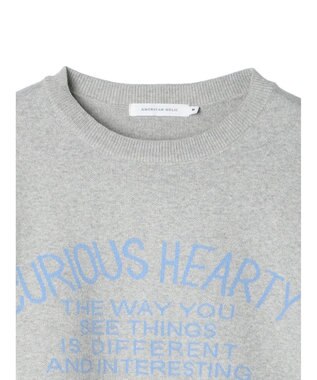 AMERICAN HOLIC ロゴニットプルオーバー Light Gray Mixture