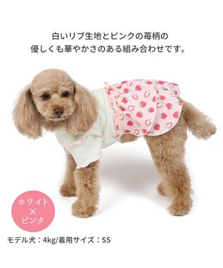 PET PARADISE 犬の服 犬 ワンピース 【小型犬】 苺柄 リブ ピンク レッド ホワイト×ピンク