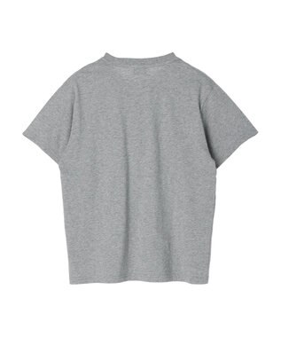 Green Parks ■ＪＵＲＡＳＳＩＣ　ＰＡＲＫ　Ｍｒ．　ＤＮＡ　Ｔ Gray Mixture