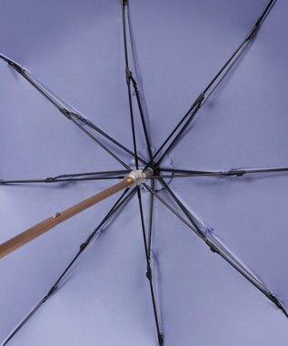 MOONBAT 【遮光/晴雨兼用日傘】POLO RALPH LAUREN(ポロ ラルフローレン) ストライプフリル 折りたたみ傘 楽折 遮熱 UV ネイビー（EC限定色）