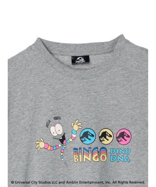 Green Parks ■ＪＵＲＡＳＳＩＣ　ＰＡＲＫ　Ｍｒ．　ＤＮＡ　Ｔ Gray Mixture