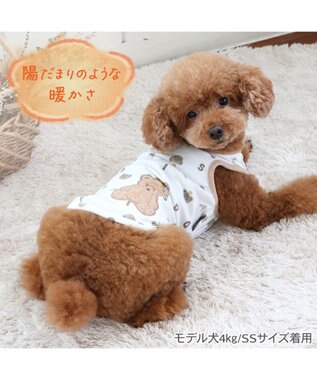 PET PARADISE ペットパラダイス くまちゃん ペティヒート タンクトップ 小型犬 超小型犬 くまちゃん