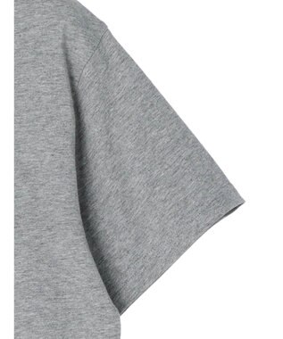 Green Parks ■ＪＵＲＡＳＳＩＣ　ＰＡＲＫ　Ｍｒ．　ＤＮＡ　Ｔ Gray Mixture