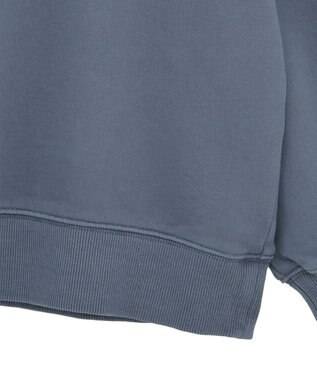 Green Parks ・ＤＯＵＢＬＥ　ＦＬＡＧＳ　カットオフピグメントスウェ Navy