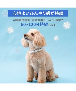 PET PARADISE ペットパラダイス ２８℃ クールリング ＳＳ 《サメ柄》 ブルー
