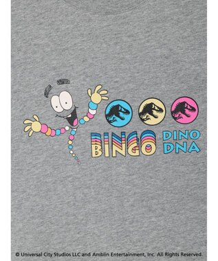 Green Parks ■ＪＵＲＡＳＳＩＣ　ＰＡＲＫ　Ｍｒ．　ＤＮＡ　Ｔ Gray Mixture