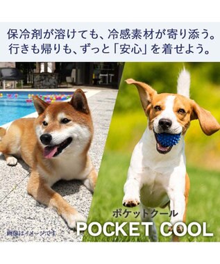PET PARADISE ペットパラダイス くまちゃん フード付き クール ベスト 小型犬 ブルー