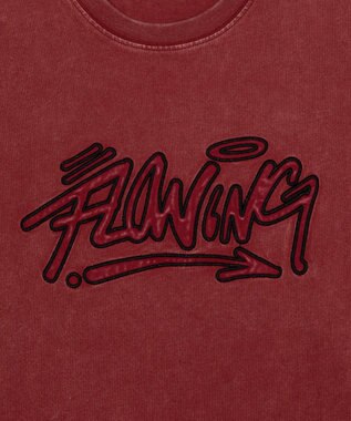 WEGO グラフィックBIG　T（SS） レッドその他