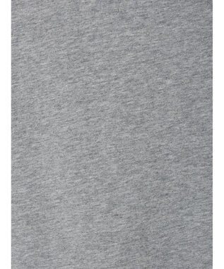 Green Parks ■ＪＵＲＡＳＳＩＣ　ＰＡＲＫ　Ｍｒ．　ＤＮＡ　Ｔ Gray Mixture