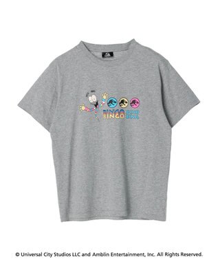 Green Parks ■ＪＵＲＡＳＳＩＣ　ＰＡＲＫ　Ｍｒ．　ＤＮＡ　Ｔ Gray Mixture