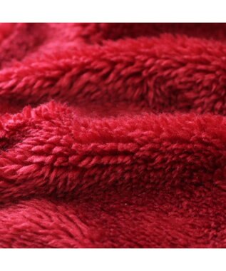 PET PARADISE Lee サガラ刺繍 ブルゾン 小型犬 黒