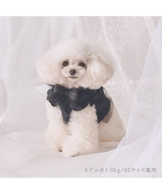 PET PARADISE cherircouture フリフリハーネス 《ブラック》 小型犬 ４Ｓ/３Ｓ ブラック