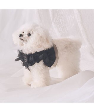 PET PARADISE cherircouture フリフリハーネス 《ブラック》 小型犬 ４Ｓ/３Ｓ ブラック