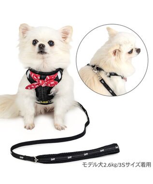 PET PARADISE Lee ループノット ハーネス＆リード 小型犬 Ｓ ブラック