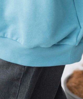 WEGO ハーフジップBIGスウェット ブルーその他