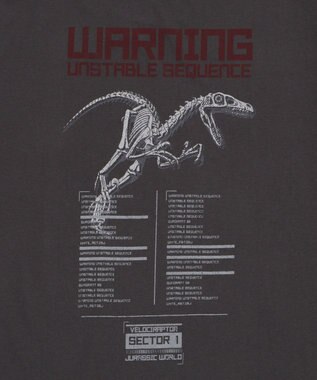WEGO 【ユニセックス着用ITEM/SMLサイズ展開】JURASSIC　PARKグラフィックT（S） 柄4