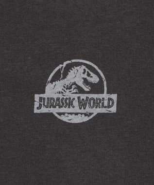 WEGO 【ユニセックス着用ITEM/SMLサイズ展開】JURASSIC　PARKグラフィックT（S） 柄4