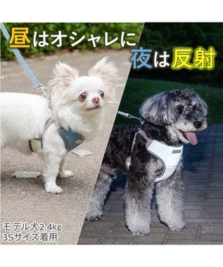 PET PARADISE ペットパラダイス 超反射 切り替え ハーネス＆リード ＳＳ 《ブルーグリーン》 ブルーグリーン