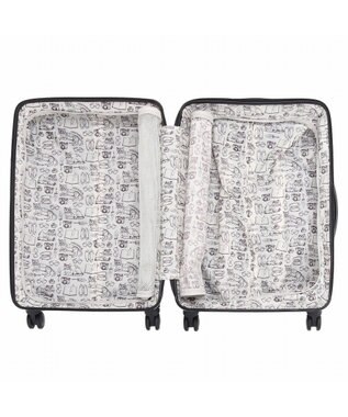 ACE BAGS & LUGGAGE HAyU × ace.  パキラ スーツケース 48L 05782 エース ブラック