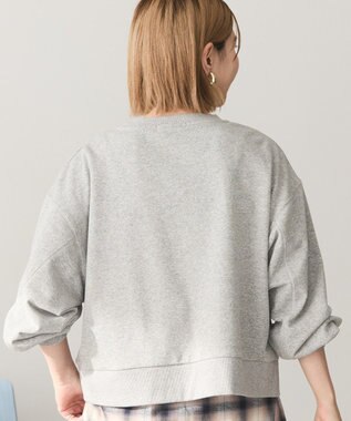 AMERICAN HOLIC 裏毛クロップドプルオーバー Gray Mixture