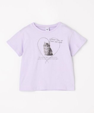 ANY KIDS 【一部店舗/WEB限定】【綿100%】プリント 半袖Tシャツ ラベンダー×ネコ