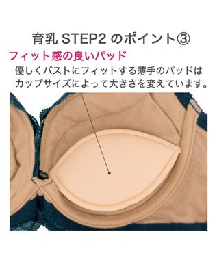 BRADELIS New York 【BRADELIS New York/ ワイヤー 育乳補整ブラ】ナオミステップ2ブラ24A2 ブラデリス 補正 ブラジャーSTEP2 寄せる ミッドナイトブルー