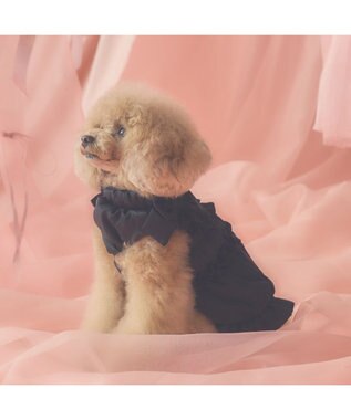 PET PARADISE cherircouture リボン ギャザーベスト 《ブラック》 小型犬 ブラック