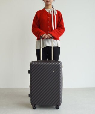 ACE BAGS & LUGGAGE 【雑誌掲載】 HaNT×Jewelna Rose コラボ スーツケース Mサイズ 06822 ハント ジュエルナローズ ダークブラウン