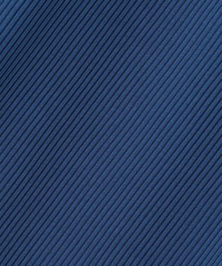 ANY L テレコイージーパンツ ブルー