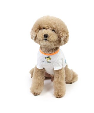 PET PARADISE スヌーピー UV反応 色が変わるTシャツ 《ビーチ柄》 小型犬 ブルー